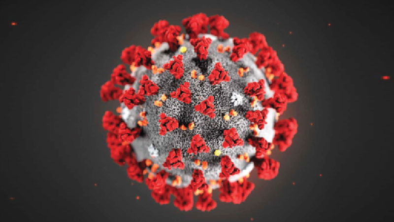 What is Coronavirus (COVID-19)? 