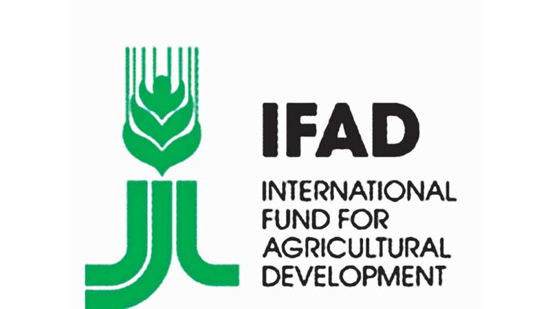 IFAD funded projects benefit 97 lakh households
