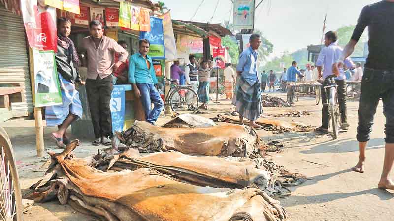 Uncertainty looms over hide market