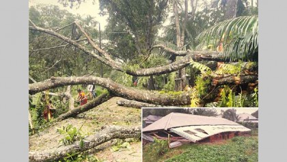 25 killed as cyclone Bulbul ravages coastal districts 