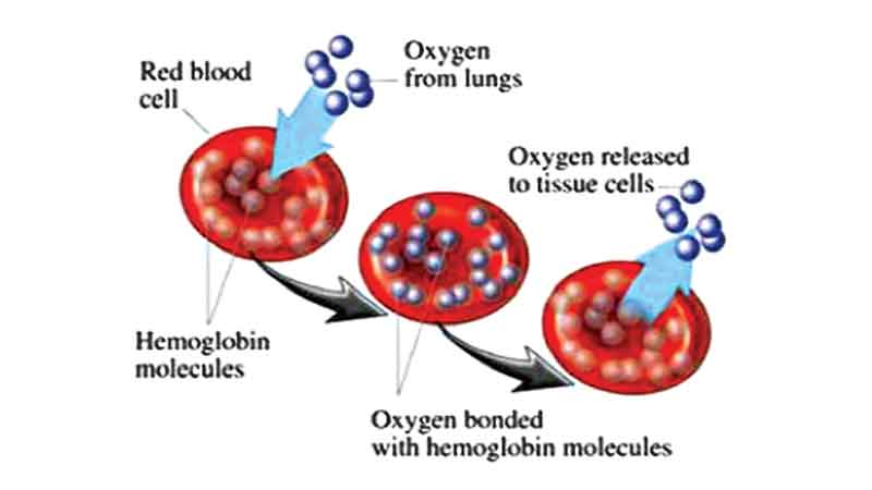 Blood disease