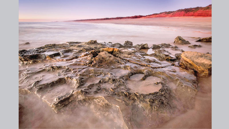 140m yrs old dinosaur tracks found in Australia