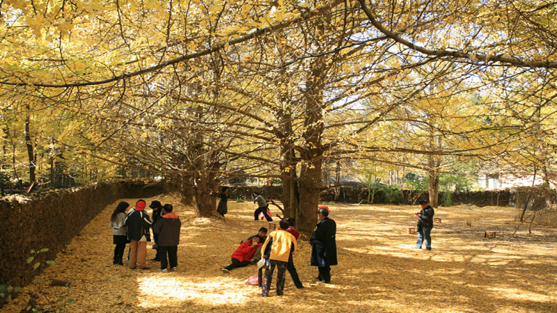 Jiangdong of Tengchong: A place where the sunshine lingers