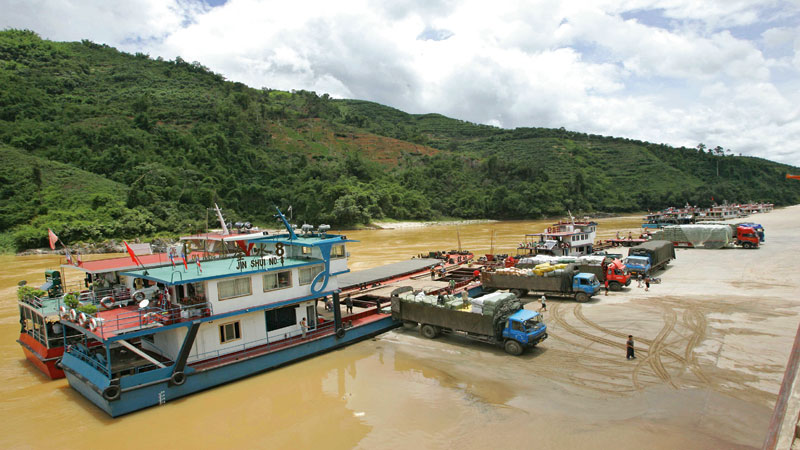 60,000  fish released into the Mekong River