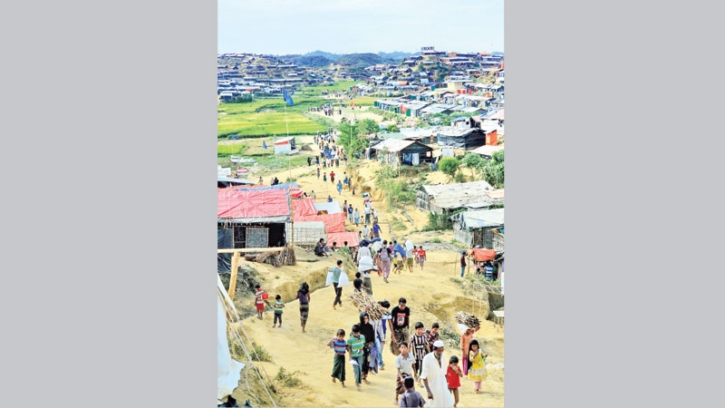 500 more Rohingyas enter: IOM