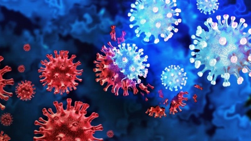 Covid-19: Omicron less likely to put you in the hospital, studies say