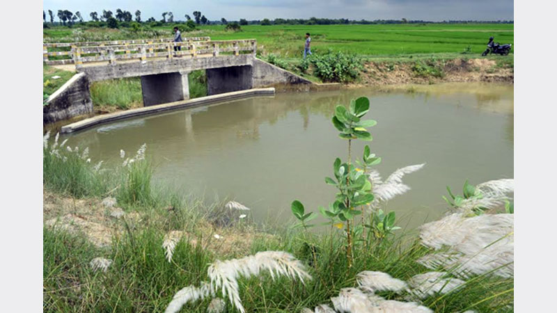 715 more ponds in Rajshahi region to be re-excavated 