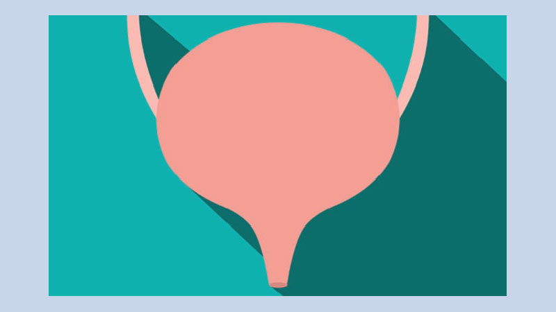 9 Reasons you always have to pee