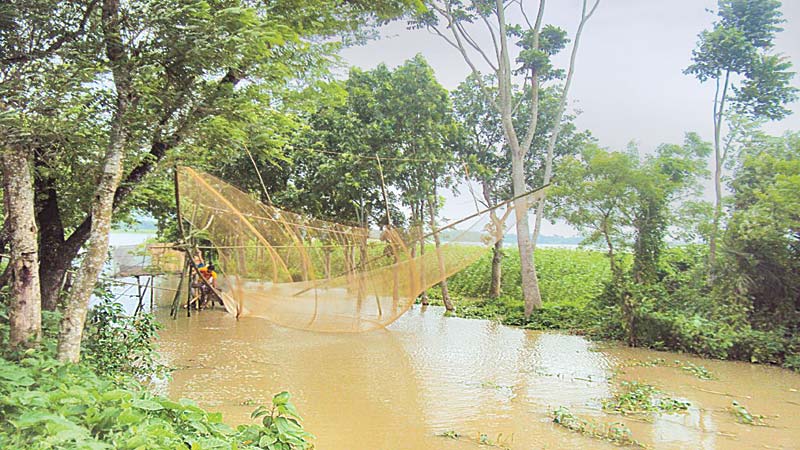 Flooded ponds affect fish farmers