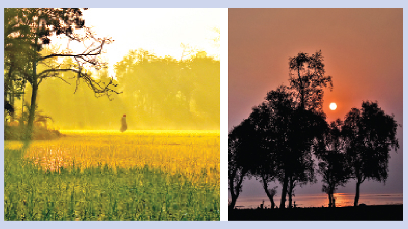 Nature, Portrait, Street
