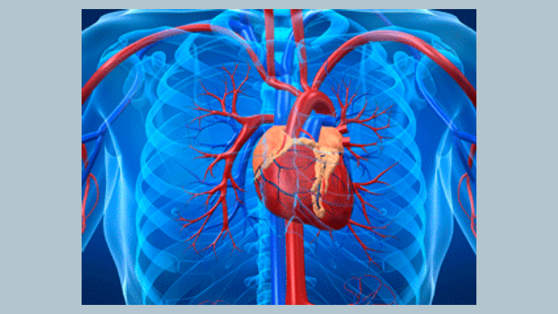 Addressing heart problems 