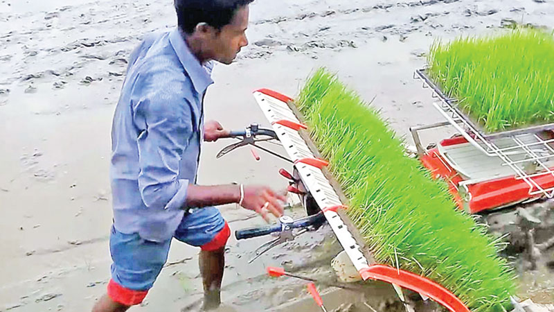 Agricultural progress and adapting to future challenges for Bangladesh 