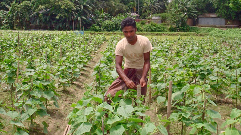 Increasing use of organic fertilisers