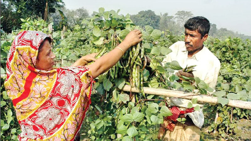 Agro advice: Just a call away