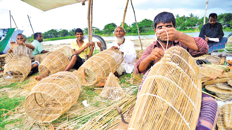 Alternative livelihoods for poor fishermen