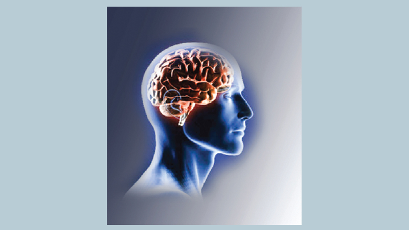 Alzheimer: the state of prevention, treatment
