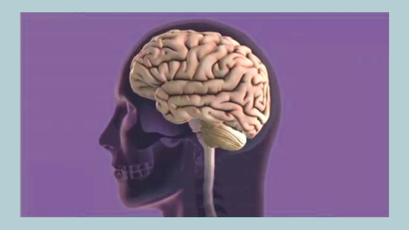 Harvard researchers unveil new Alzheimer's theory