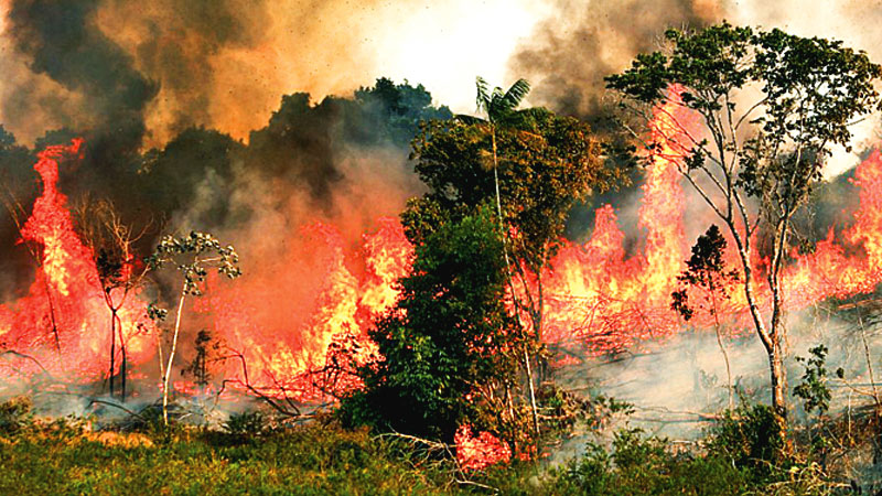 Record number burning in Brazil rainforest 