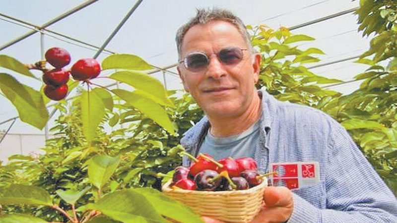 Living in Dali for 20 years, American fruit grower Faraz feels like a local