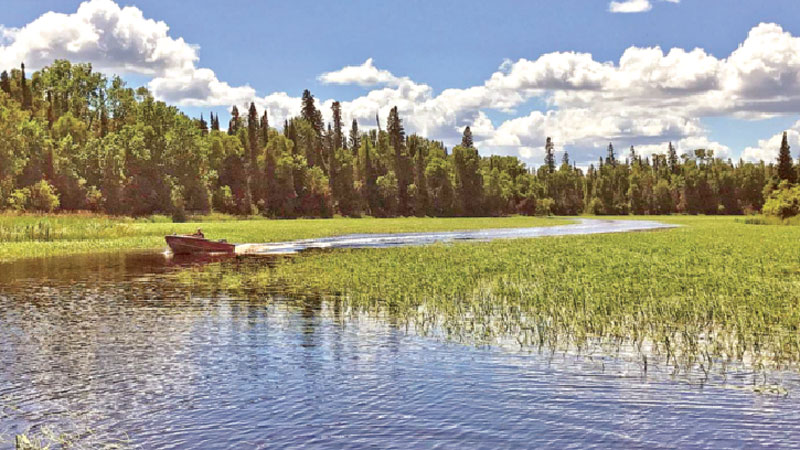 The US land lost in Canada