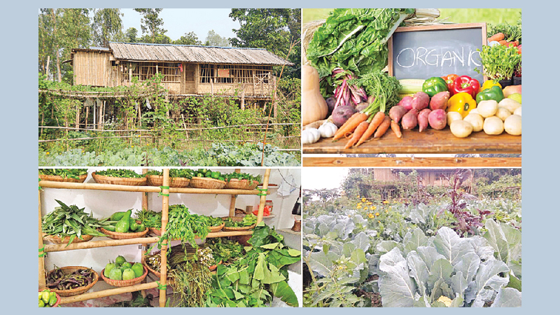Appetite for organic food on the rise 