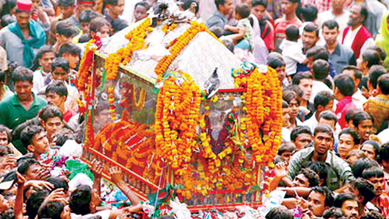 The spirit of Ashura 