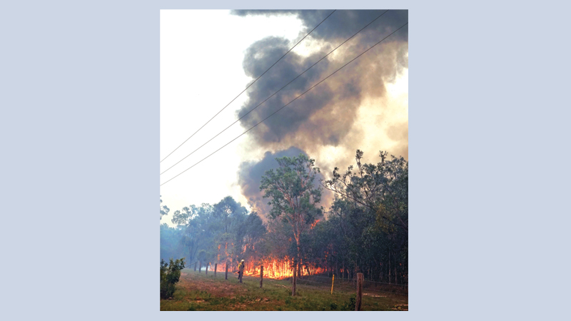 Thousands evacuated as Australian bushfires rage