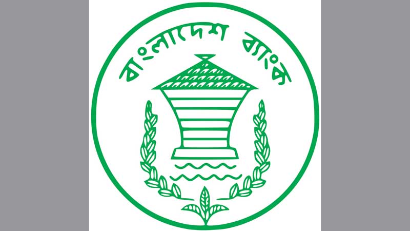 Corrupt banks under finance ministry panel scanner