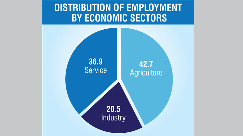 BBS survey finds 4.18 per cent of workforce unemployed 