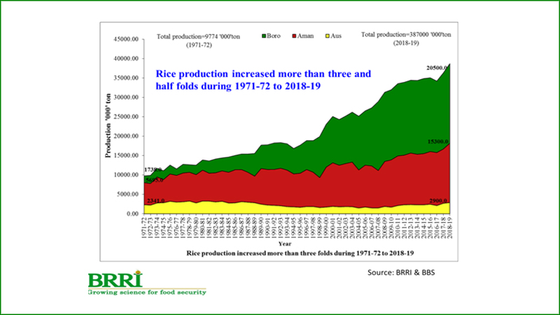 Rice and rise of Bangladesh