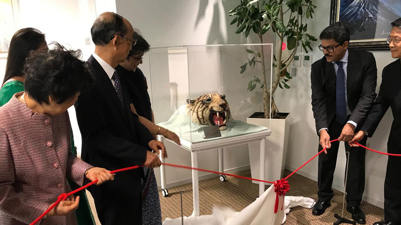 Bangabandhu-gifted stuffed tiger head handed over to Tokyo Mission