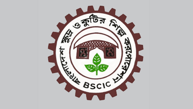 Allocation of unused BSCIC industrial plots to be scrapped