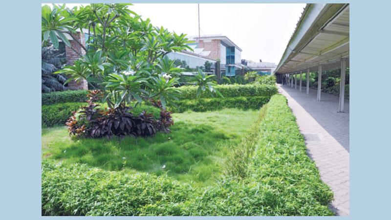 Bangladesh makes a fashion statement