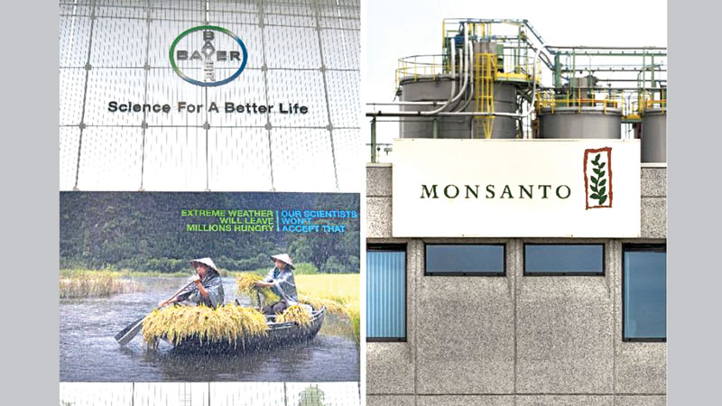 Bayer sets $66b deal for Monsanto 
after lengthy pursuit