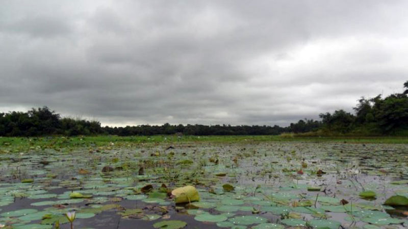 Low-lying areas exposed to water stagnation again