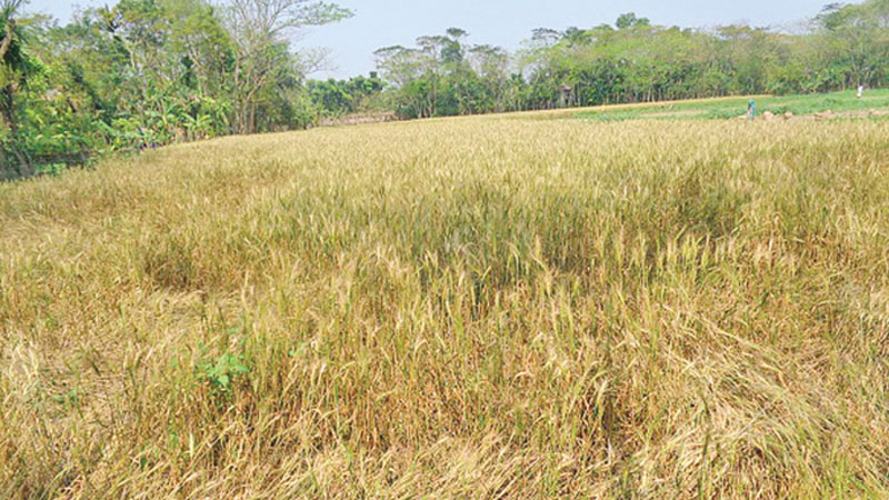 Farmers frustrated