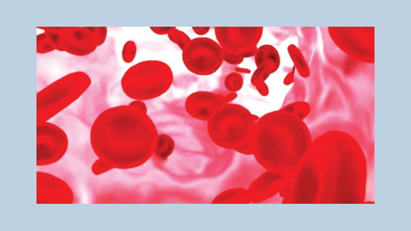 Biochemical compound responsible for blood pressure drop in sepsis