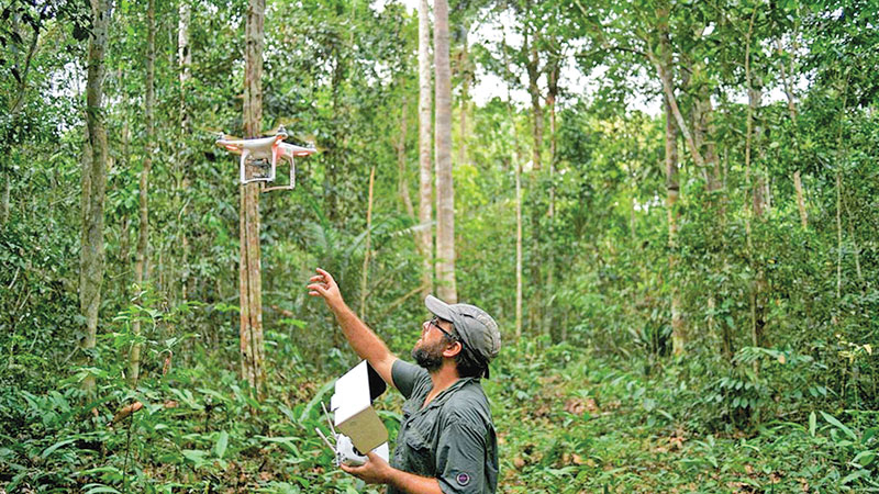 Biodiversity and the planet 