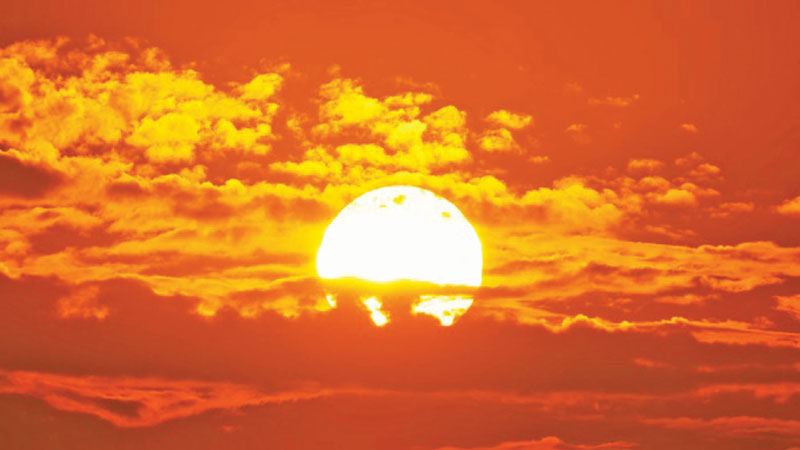 Biography of Our Star: The Sun