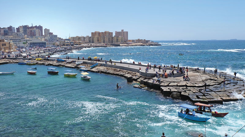 Blissful Alexandria 