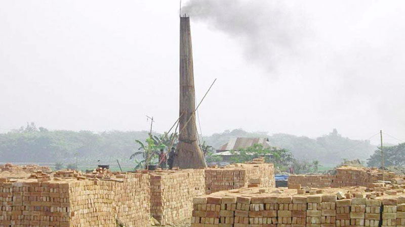 Bogura agriculture at stake as topsoil goes to brick kilns
