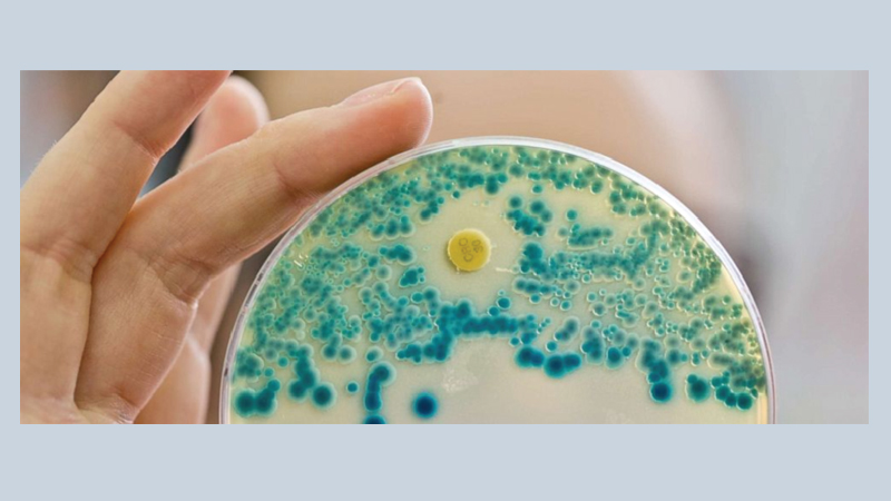 CDC focused on finding ‘nightmare bacteria’ and preventing their spread