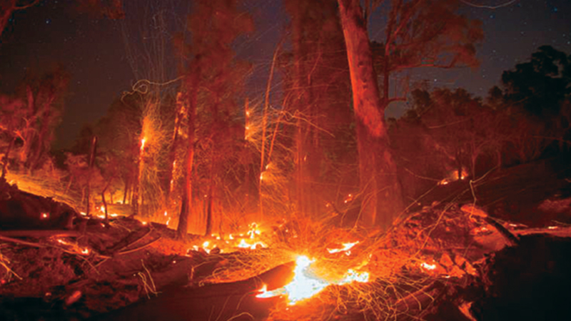 California Thomas fire Largest in state’s history