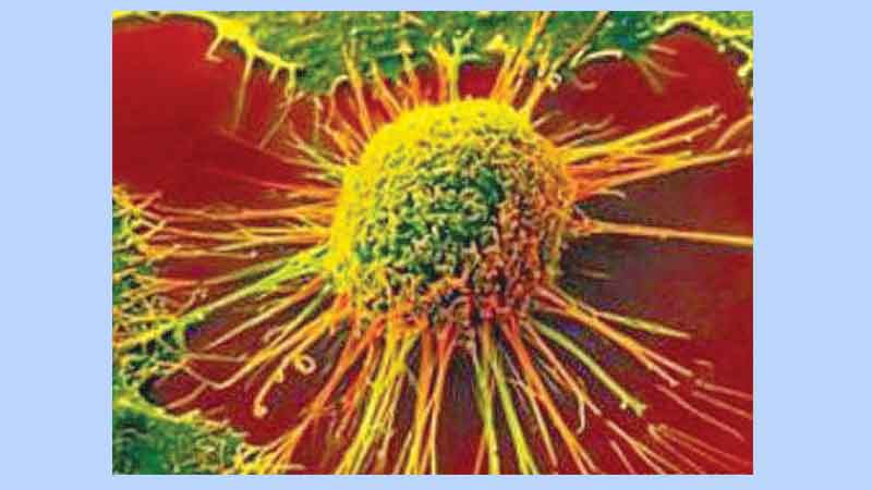 Cancer-inflammation 'vicious cycle' detailed in new study