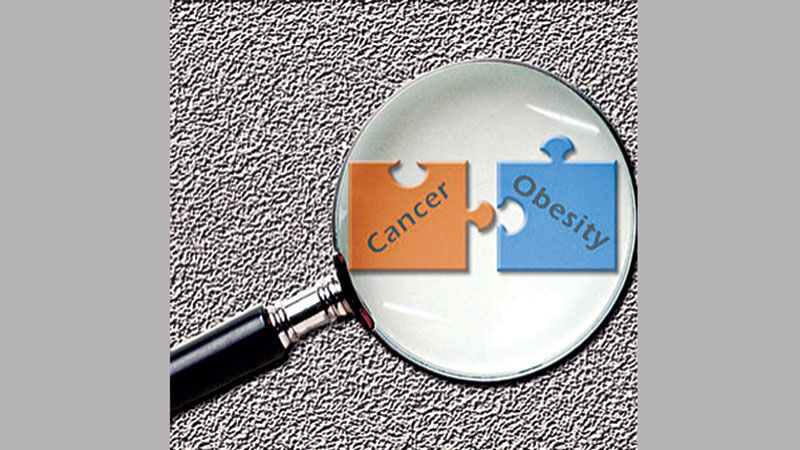 Excess weight tied to higher risk for many cancers: Study 