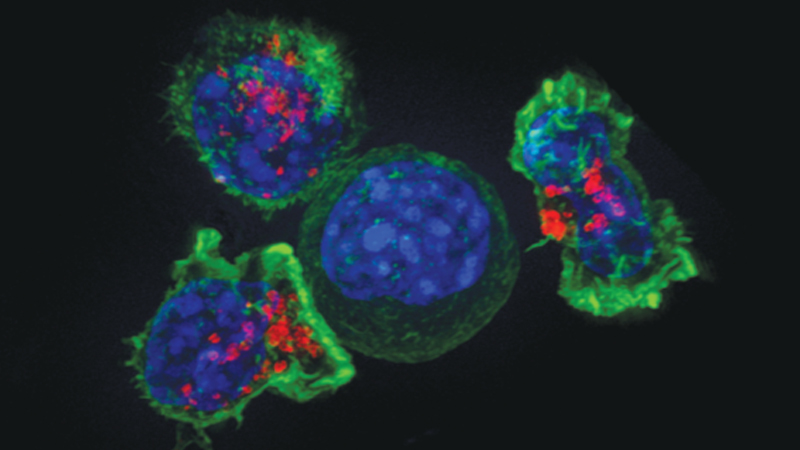 Cancers 'rising around the world'