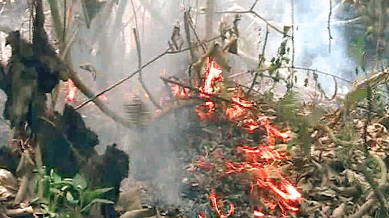 Probe finds 6 responsible 