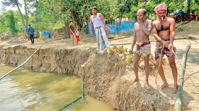 Mahananda river erosion brings new woe