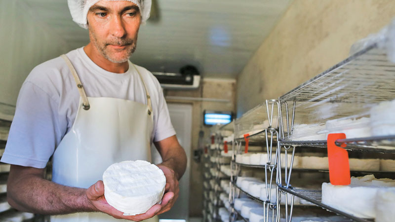 ‘Real’ French Camembert plays David to industrial Goliath