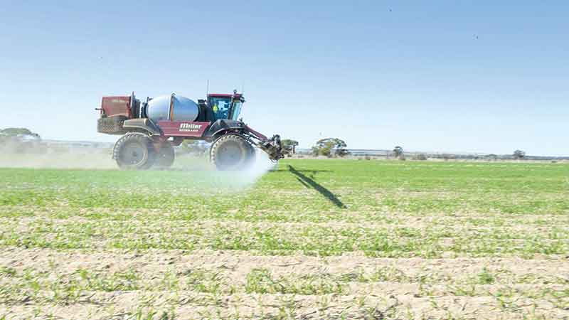 Chemical residues in food grains: A serious cause for concern 